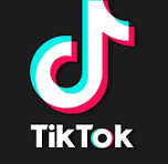 TikTok Logo